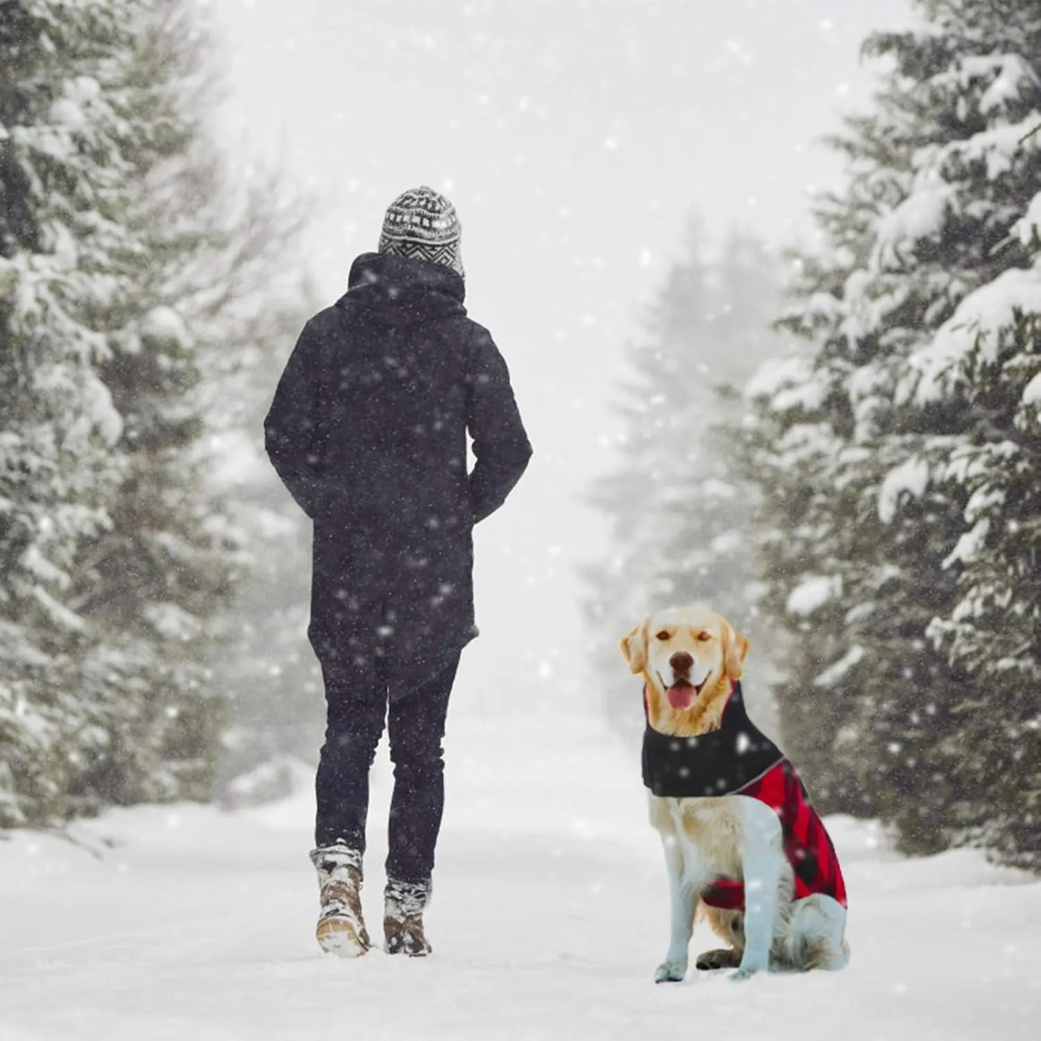 Dog Winter Jacket, Plaid Dog Coat Reversible Cold Weather Dog Jackets with Reflective Straps, Warm Dog Coats Windproof Waterproof Dog Snow Vest for Small Medium Large Dogs, Burgundy S