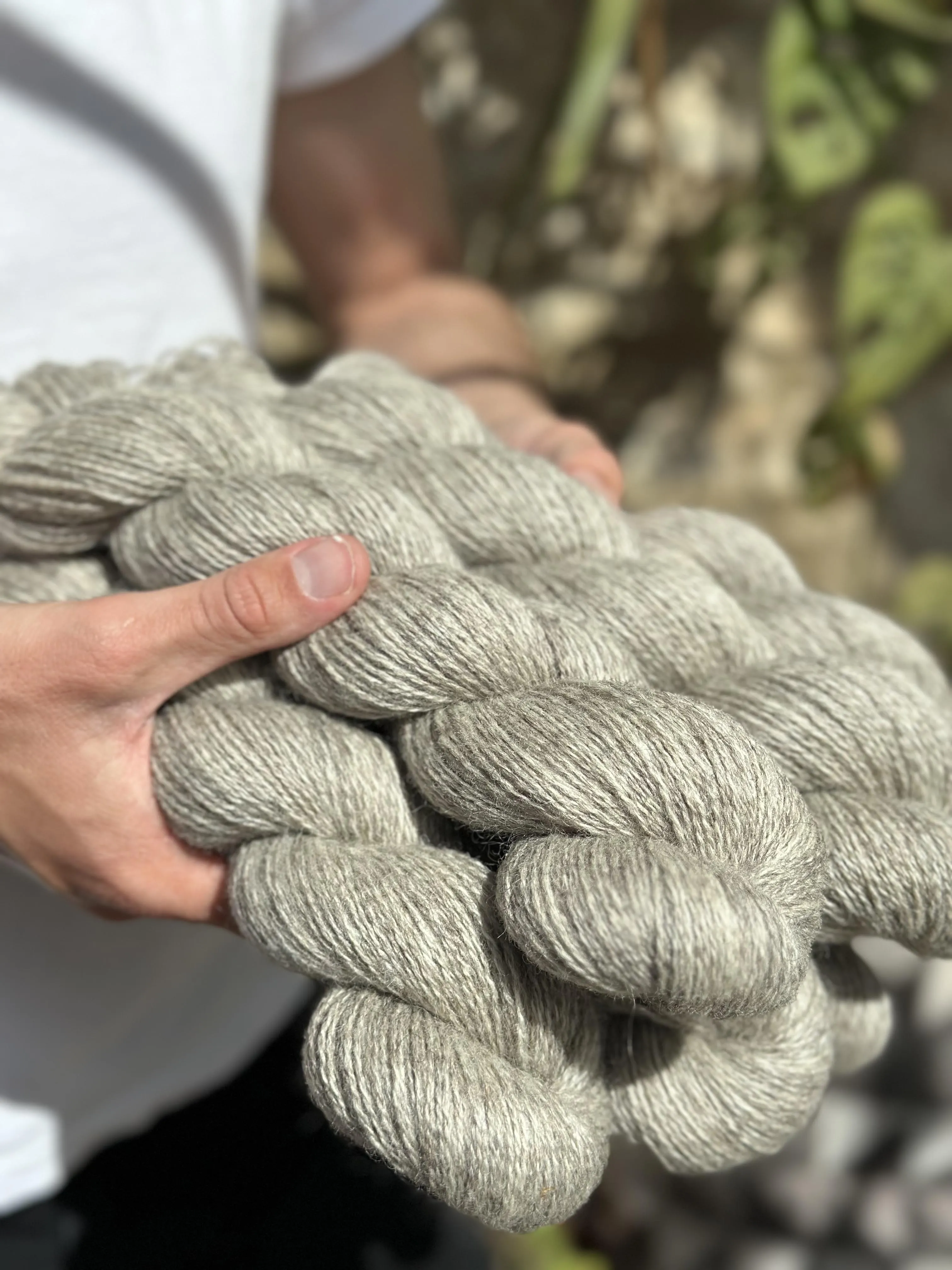 The Raw Wool Company 4ply